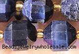 CTE2298 15 inches 9*10mm faceted blue tiger eye beads