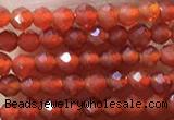 CTG1004 15.5 inches 2mm faceted round tiny red agate beads