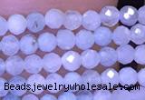 CTG1043 15.5 inches 2mm faceted round tiny aquamarine beads