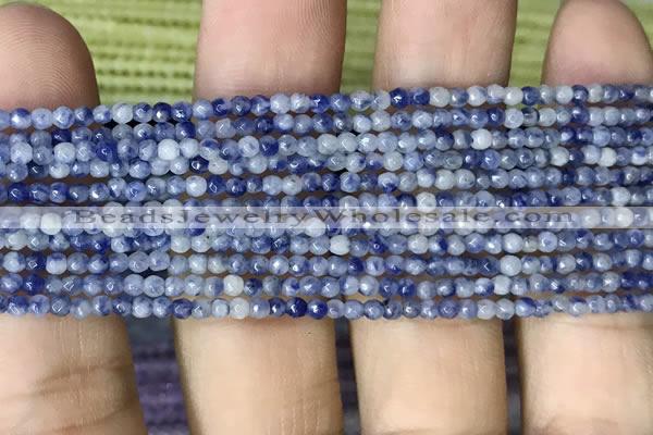 CTG1069 15.5 inches 2mm faceted round tiny blue spot stone beads