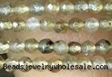 CTG1077 15.5 inches 2mm faceted round tiny labradorite beads