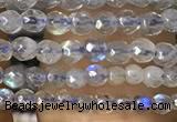 CTG1078 15.5 inches 2mm faceted round tiny labradorite beads