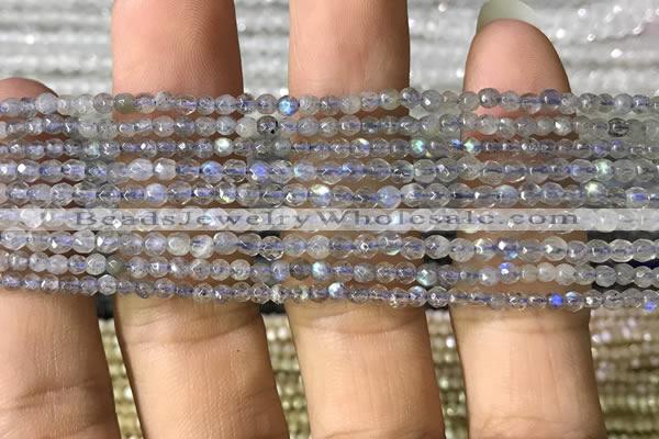 CTG1078 15.5 inches 2mm faceted round tiny labradorite beads