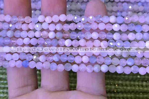 CTG1206 15.5 inches 4mm faceted round tiny morganite beads