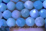 CTG1214 15.5 inches 4mm faceted round tiny amazonite beads