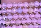 CTG1300 15.5 inches 2mm faceted round morganite gemstone beads