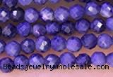 CTG1333 15.5 inches 2mm faceted round sapphire beads wholesale