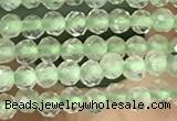 CTG1346 15.5 inches 2mm faceted round prehnite beads wholesale