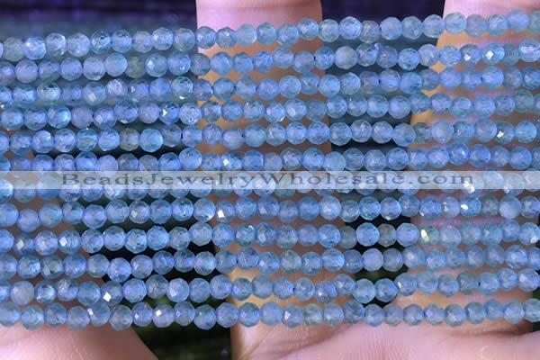 CTG1380 15.5 inches 2mm faceted round tiny apatite beads