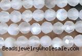 CTG1401 15.5 inches 2mm faceted round white moonstone beads wholesale