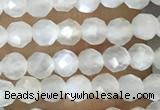 CTG1480 15.5 inches 3mm faceted round white moonstone beads