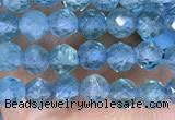 CTG1497 15.5 inches 3mm faceted round apatite beads wholesale