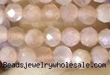 CTG1502 15.5 inches 3mm faceted round moonstone beads wholesale