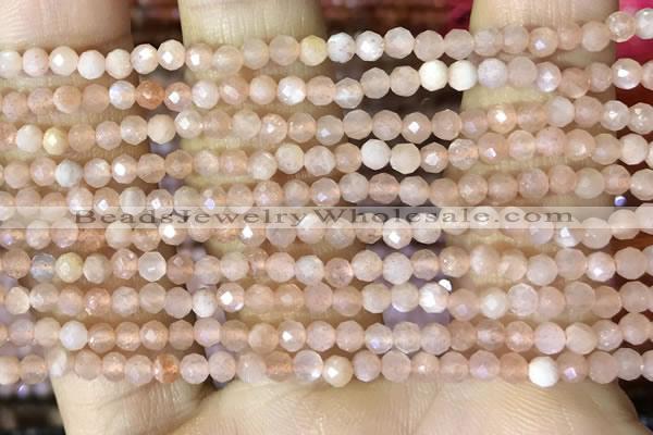 CTG1502 15.5 inches 3mm faceted round moonstone beads wholesale