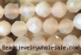 CTG1544 15.5 inches 4mm faceted round moonstone beads wholesale