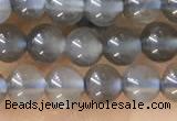 CTG1582 15.5 inches 4mm round grey moonstone beads wholesale