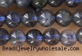 CTG1591 15.5 inches 4mm round iolite gemstone beads wholesale