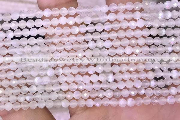 CTG1601 15.5 inches 3mm faceted round tiny white moonstone beads