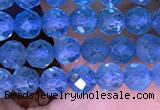 CTG1663 15.5 inches 3.5mm faceted round tiny apatite beads