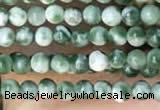 CTG2008 15 inches 2mm,3mm Qinghai jade beads