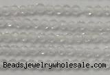 CTG202 15.5 inches 3mm faceted round tiny white crystal beads