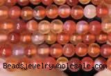 CTG2056 15 inches 2mm,3mm red agate gemstone beads