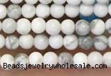 CTG2087 15 inches 2mm,3mm natural white howlite gemstone beads