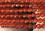 CTG2121 15 inches 2mm,3mm faceted round red agate gemstone beads