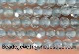 CTG2131 15 inches 2mm,3mm faceted round apatite gemstone beads