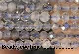 CTG2133 15 inches 2mm,3mm faceted round labradorite gemstone beads