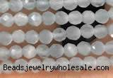 CTG2145 15 inches 2mm,3mm faceted round aquamarine gemstone beads