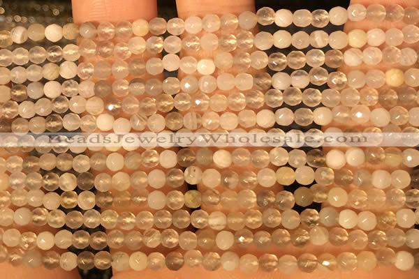 CTG2209 15 inches 2mm,3mm faceted round botswana agate beads