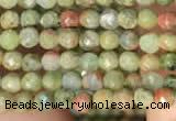 CTG2214 15 inches 2mm,3mm faceted round unakite gemstone beads