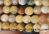 CTG2219 15 inches 2mm,3mm faceted round crazy lace agate beads