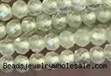 CTG2246 15 inches 2mm faceted round natural prehnite beads