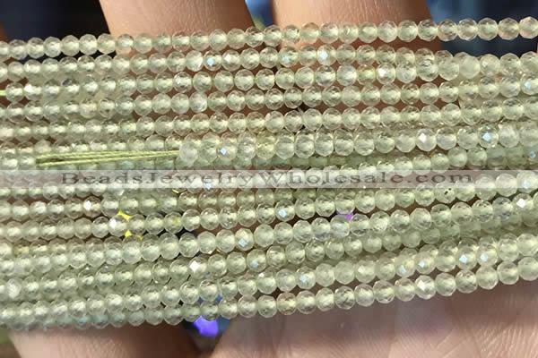 CTG2246 15 inches 2mm faceted round natural prehnite beads