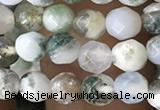 CTG2532 15.5 inches 4mm faceted round tree agate beads