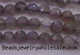 CTG509 15.5 inches 4mm faceted round tiny labradorite beads