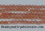 CTG609 15.5 inches 2mm faceted round golden sunstone beads