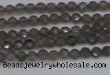 CTG639 15.5 inches 2mm faceted round smoky black obsidian beads