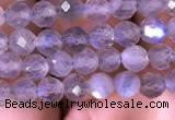 CTG703 15.5 inches 5mm faceted round tiny labradorite beads