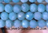 CTG767 15.5 inches 5mm faceted round tiny amazonite gemstone beads