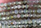 CTG821 15.5 inches 2mm faceted round tiny Australia chrysoprase beads