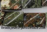 CTW398 15.5 inches 18*25mm twisted rectangle rhyolite gemstone beads