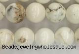 CWB801 15.5 inches 6mm round white howlite turquoise beads