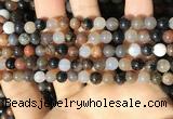 CWJ569 15.5 inches 6mm round Arizona petrified wood jasper beads