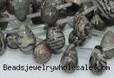 CZJ16 16 inches 8*12mm teardrop zebra jasper gemstone beads wholesale