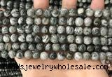 CZJ411 15.5 inches 6mm round green zebra jasper beads wholesale