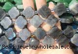 FGBS275 15 inches 18mm four leaf clover labradorite beads wholesale