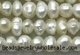 FWP07 14.5 inches 2mm - 3mm potato white freshwater pearl strands